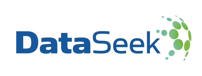Dataseek - BigData Logo
